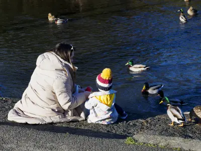 'You never think it will be you': NYC child welfare removals show racial bias, per report